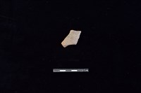 陶片藏品圖，第1張